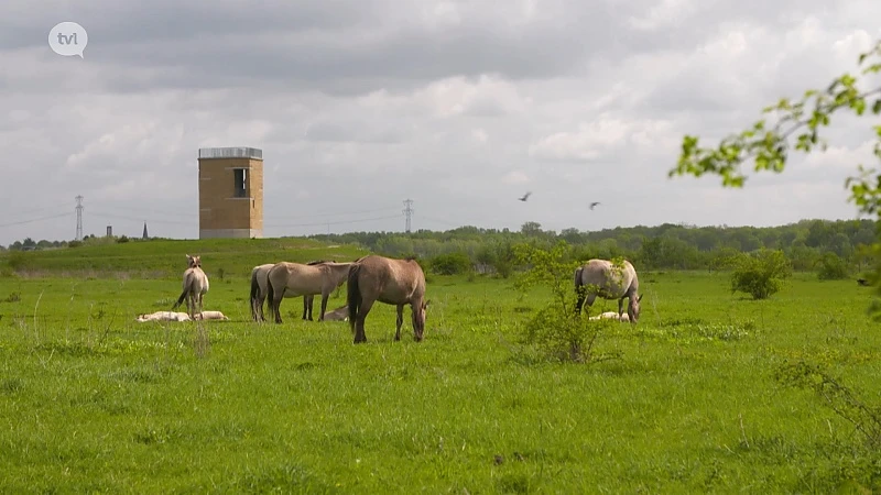 Sobere architectuur in de natuur