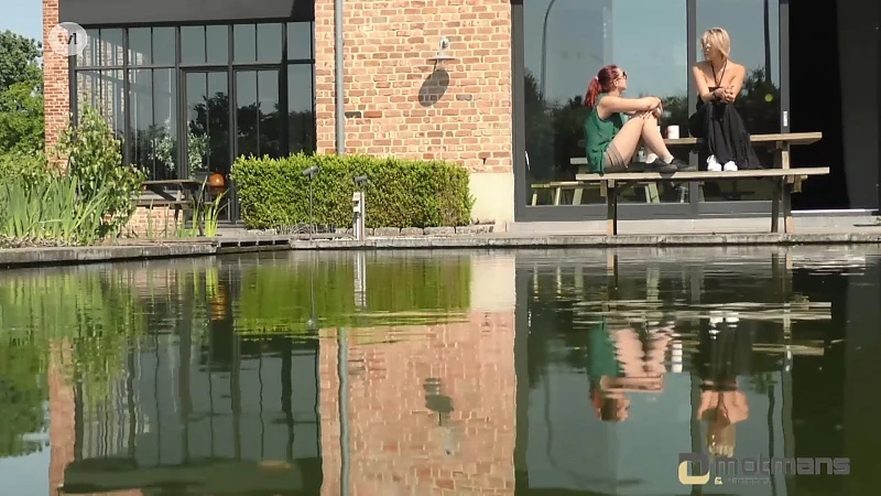 Loopbaanbegeleiding bij Motmans en Partners