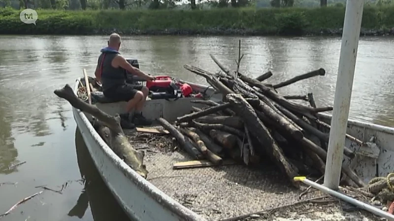 Uitzonderlijk veel drijfhout in de Maas