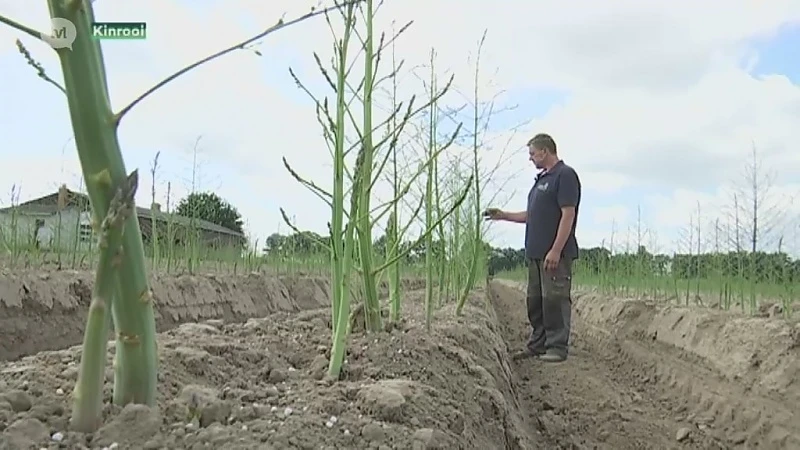 Aanhoudende droogte wordt probleem voor de landbouw