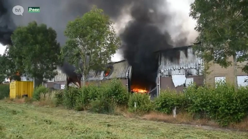 Brand verwoest vier bedrijven in Peer