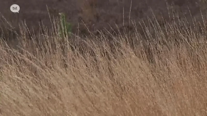 Code Oranje in Limburgse natuurgebieden