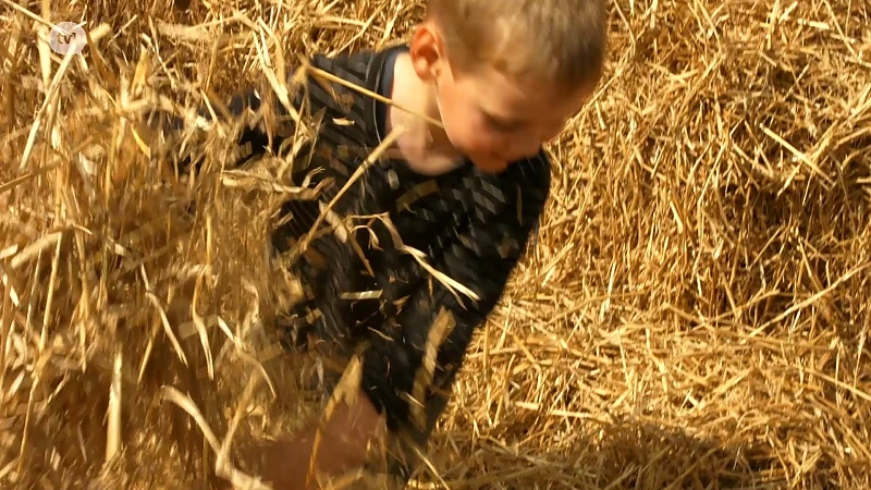Agricultura: platteland is blits en boeiend