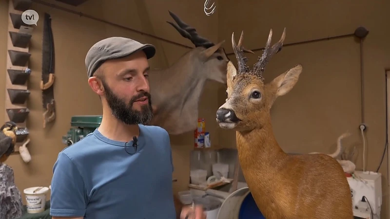 Je komt heel dicht bij de dieren