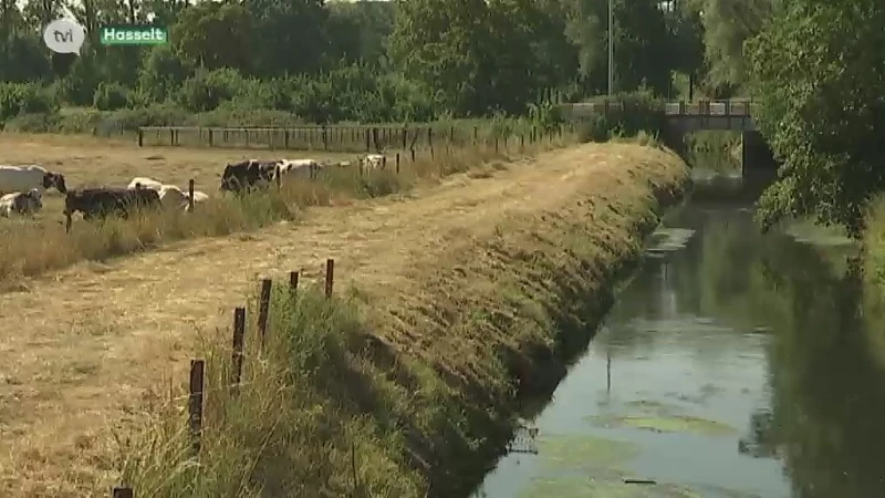 Aanhoudende droogte: waterpeil Limburgse beken en rivieren extreem laag