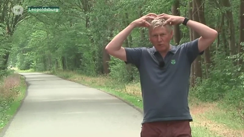 Ook Peer waarschuwt nu voor broedende buizerd
