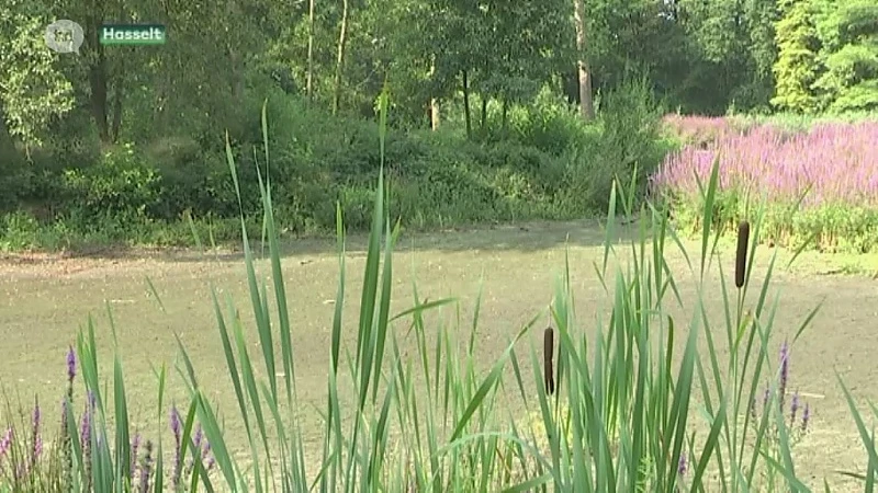 Vijvers staan droog door aanhoudende hitte