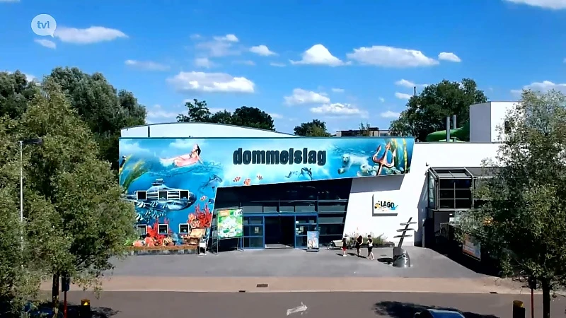 Uittip: Zwembad LAGO Pelt Dommelslag