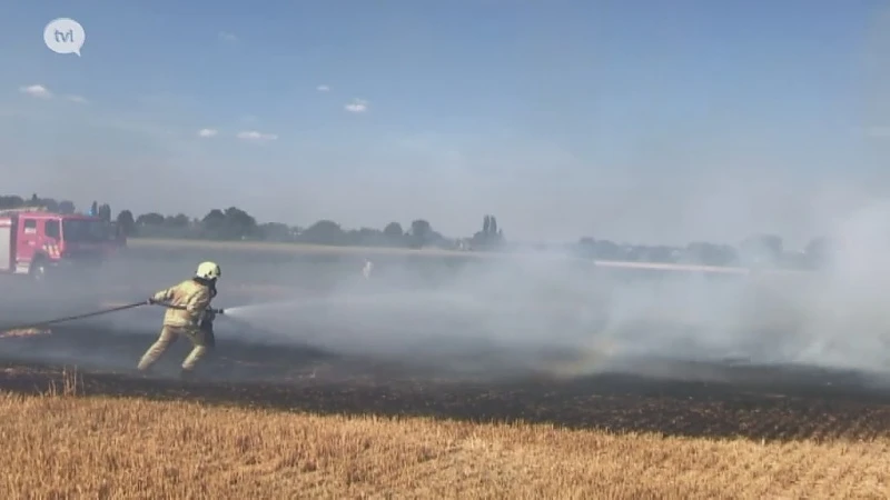 Graanveld gaat in vlammen op door brandende sigaret in Riemst