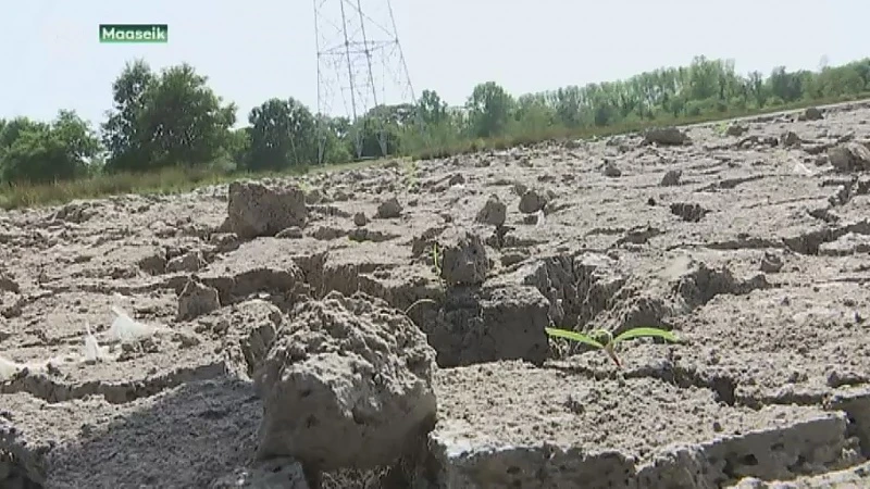 De grond is zo droog dat het enkele dagen moet regenen om te herstellen
