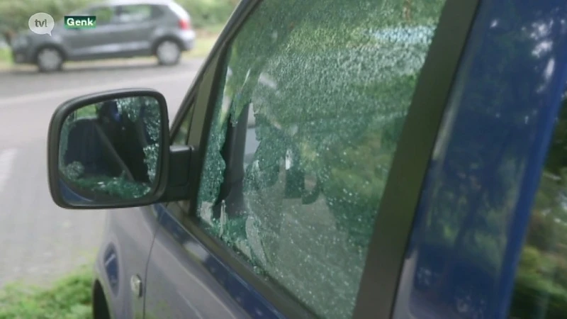 Auto's vernield bij inbraken aan Alden Biesen