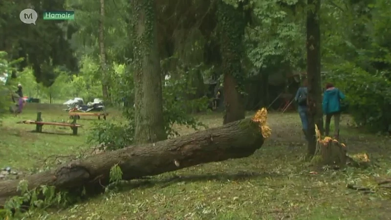 Genks danskamp zwaar getroffen door mini-tornado in Luik