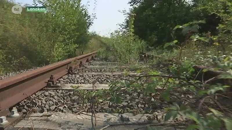 Spoorlijn van 33 miljoen euro tussen Lanaken en Maastricht is spookproject met overwoekerde rails