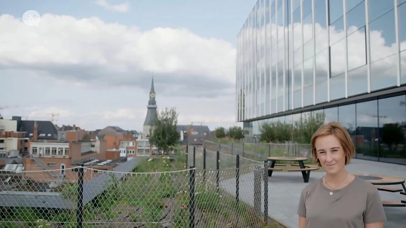 't scheep, Hasselt heeft er een architecturaal hoogstandje bij