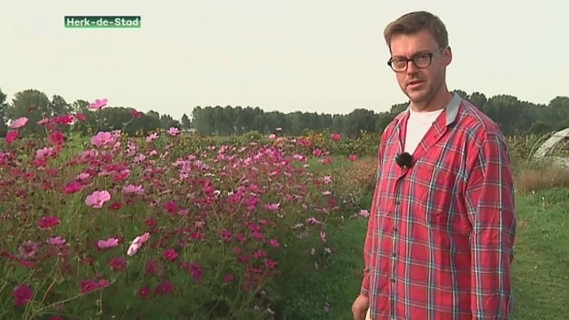 TVL-reeks: heeft de landbouw nog een toekomst in Limburg? (deel1)