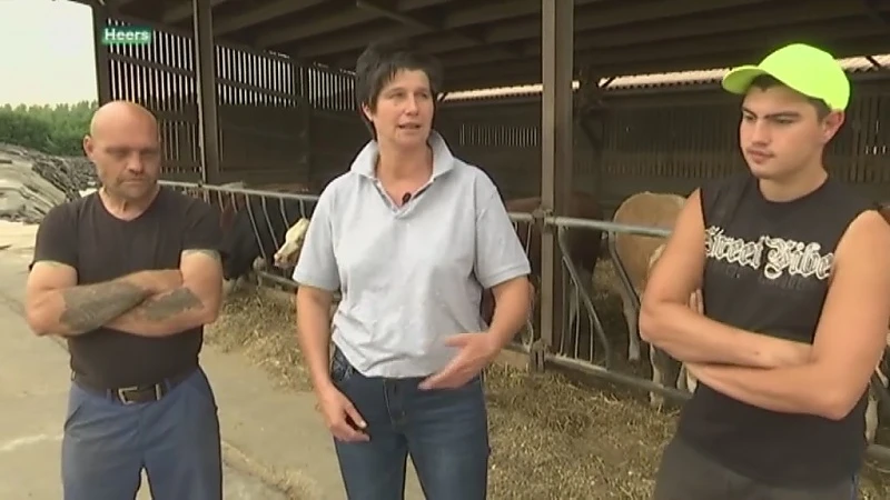 Reeks Dag van de Landbouw (deel3): Aantal zorgboerderijen in Limburg verdrievoudigd