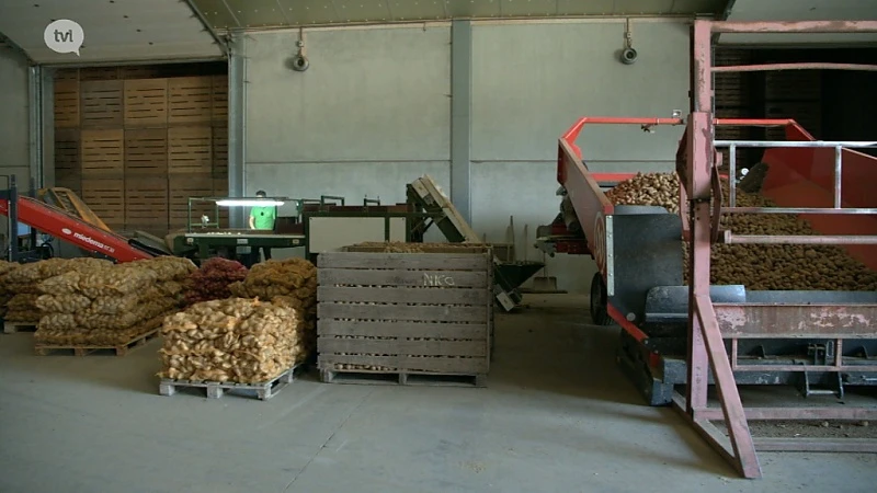 Achter de schermen van een landbouwbedrijf