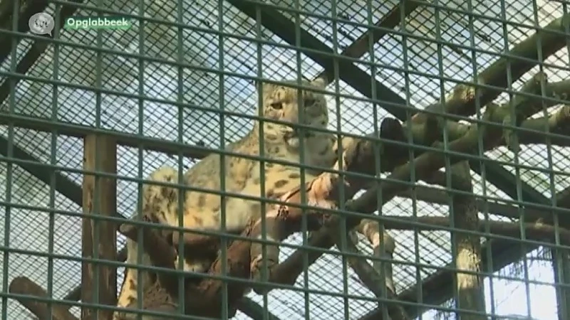 Brandweer controleert of dieren Natuurhulpcentrum ontsnappen bij stroomuitval