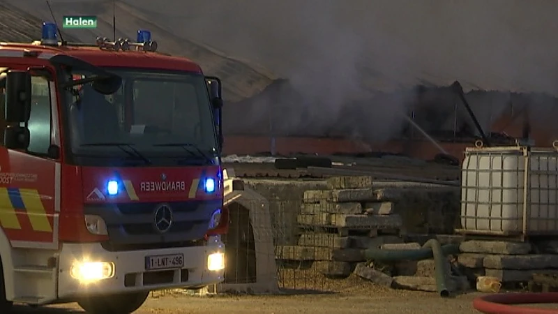 Boerderijstal in Halen brandt volledig uit