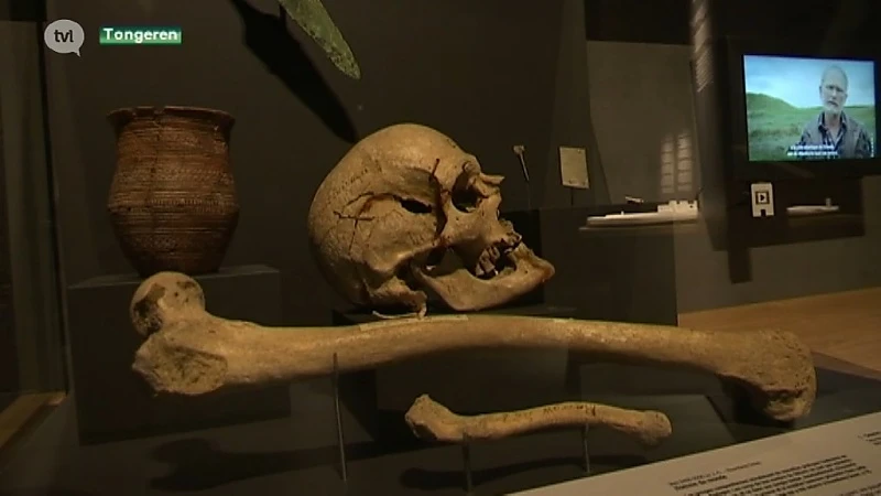 Expo rond Stonehenge voorgesteld in Tongeren