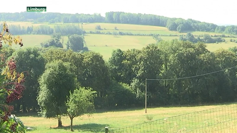 Noodzaak fusies nergens zo groot als in Limburg