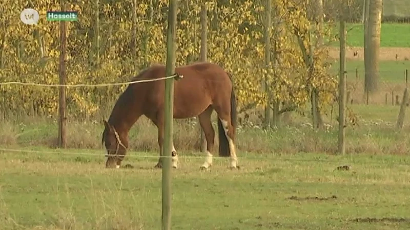 Politie LRH is paardenbeul op het spoor