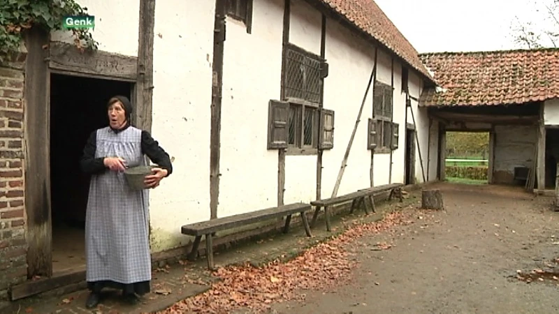 Tweede Bokrijk Run lokt 4000 deelnemers naar Openluchtmuseum