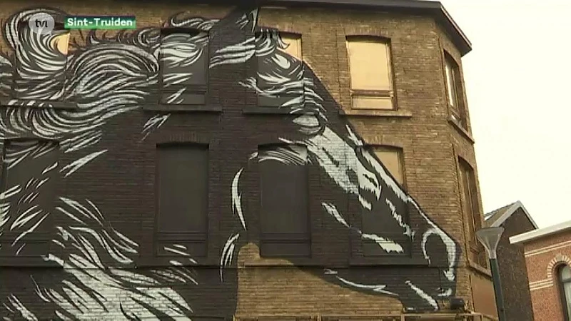 Tom Herck maakt monumentale muurschilderingen in hartje Sint-Truiden