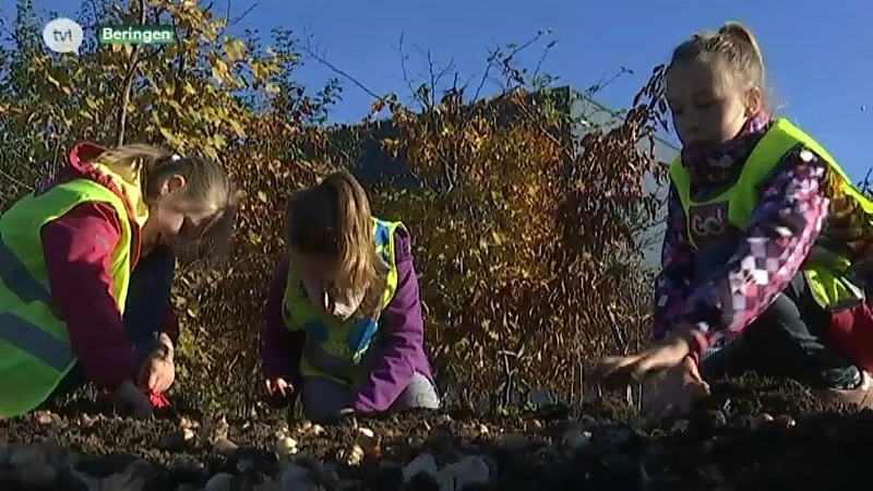 Kinderen helpen mee biodiversiteit te verbeteren op industrieterrein in Beringen
