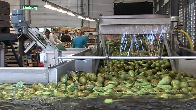 Rusland voert gevangenisstraf voor perensmokkelaars in