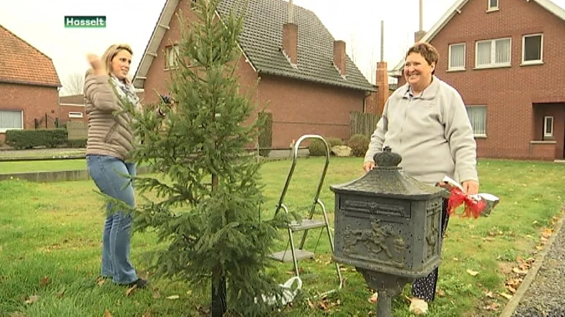 Bedrijf betaalt kerstverlichting in Kuringse straat na jaar wegenwerken
