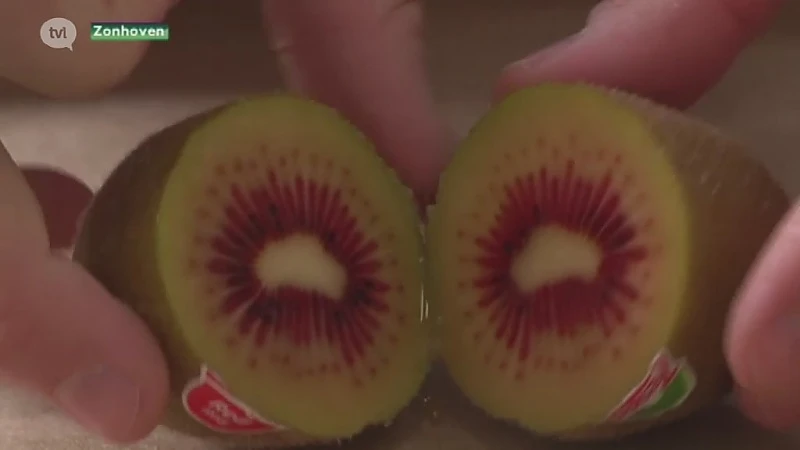 Bedrijf uit Zonhoven biedt exclusieve rode kiwi aan klanten aan