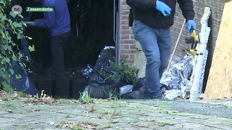 Wietplantages opgerold in Diepenbeek, Kortessem, Genk en Tessenderlo
