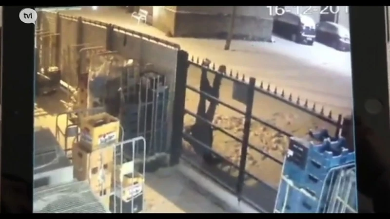 Hilarische beelden van stuntelige inbreker in Kaulille