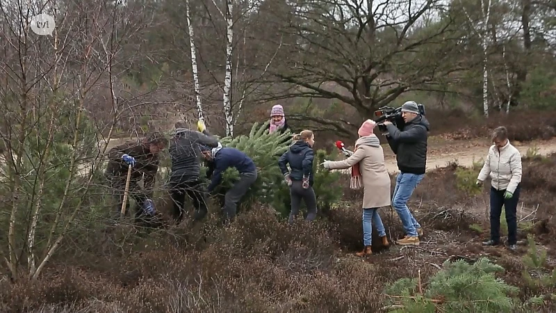 Kerstbomenactie in Oudsbergen