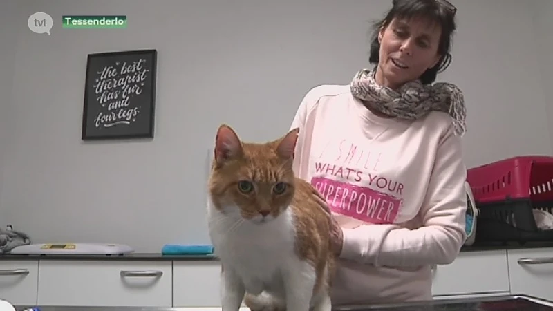 Kattenopvang in Tessenderlo op de rand van de afgrond