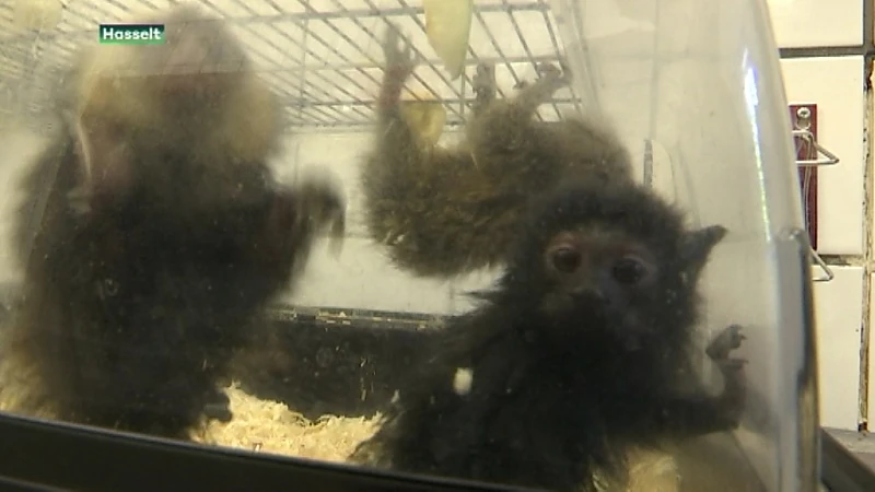 Politiezone LRH start met voltijdse dierenpolitie nadat in 2018 106 dieren in beslag genomen werden.