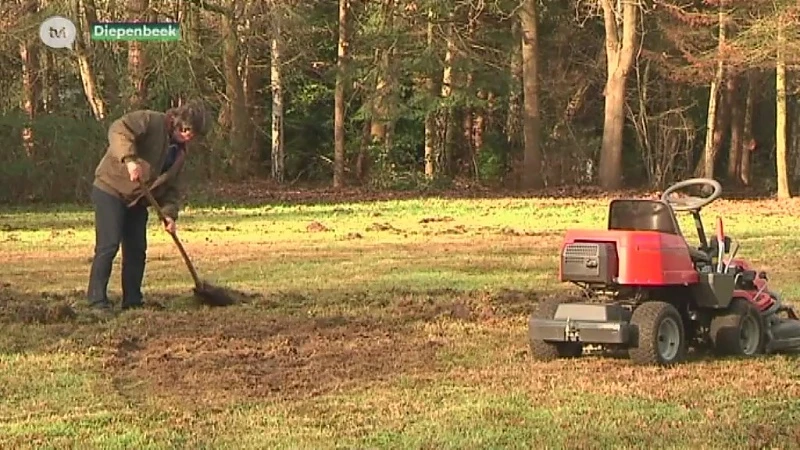 Everzwijnen verwoesten tuin in Diepenbeek. "Als zesde keer op drie jaar tijd"