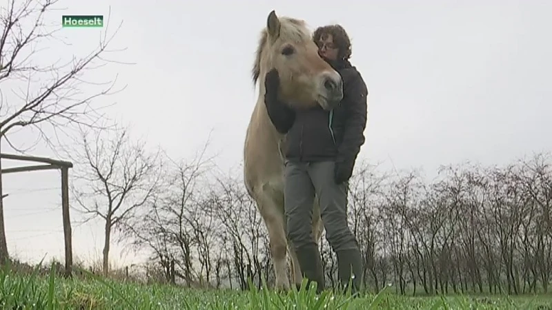 Zorgboerderij in Hoeselt is remedie voor mensen met stress en burnout