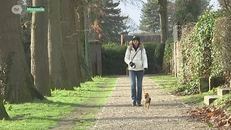 Alweer hond gestorven na vergiftiging, nu in Maaseik