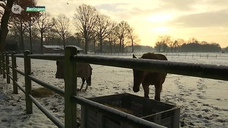 Sneeuw in Limburg: geen verkeershinder, wel mooie beelden