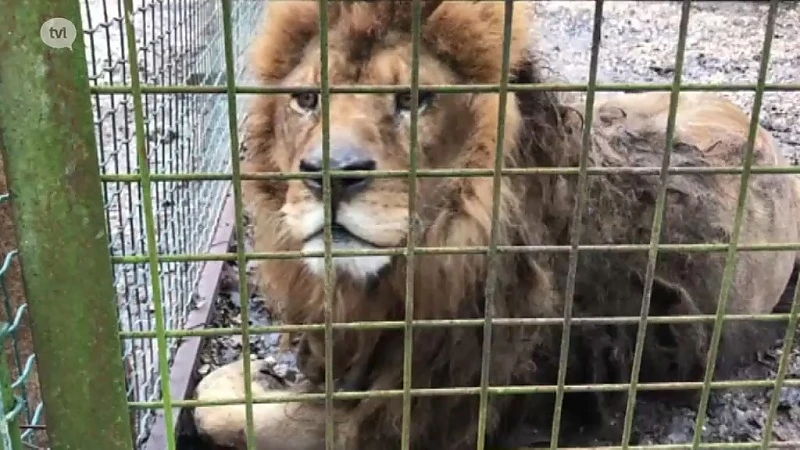 Medewerkers Natuurhulpcentrum halen verwaarloosde dieren op in Frankrijk