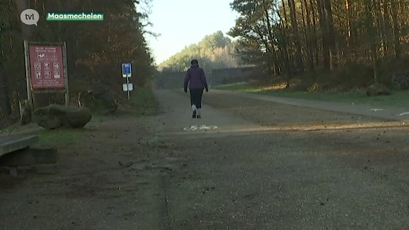 Jaarlijks bezoeken 2 miljoen wandelaars Limburg. Mechelse Heide populairste locatie.