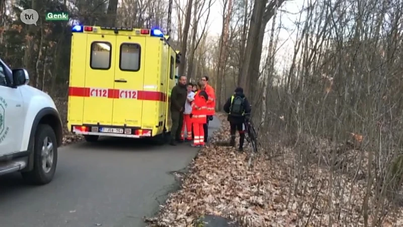 Everzwijn valt fietser aan in Bokrijk