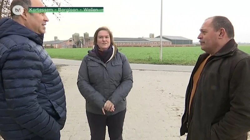 Deputatie geeft vergunning aan omstreden varkensstal in Borgloon