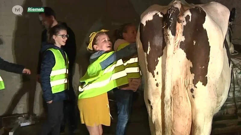Kinderen leren werk op boerderij kennen in Riemst