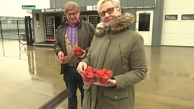 De eerste aardbeien zijn er