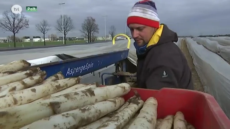 Asperges uit volle grond zijn er twee weken vroeger dan normaal