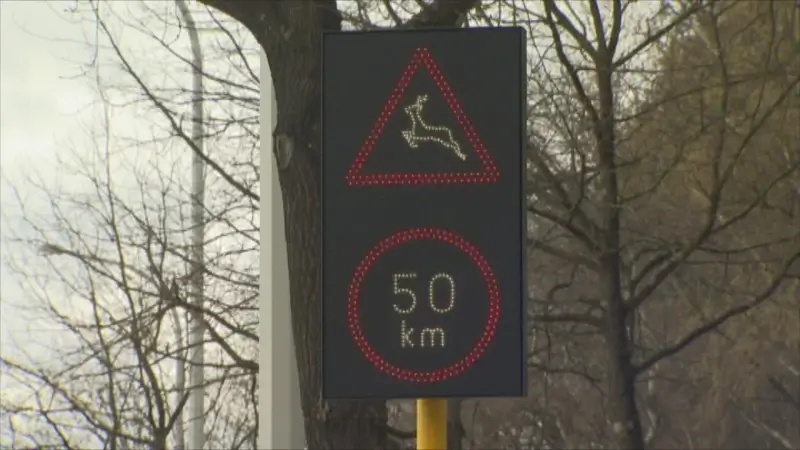 Nieuw wildwaarschuwingssysteem op de N76 in Oudsbergen eind deze week in dienst