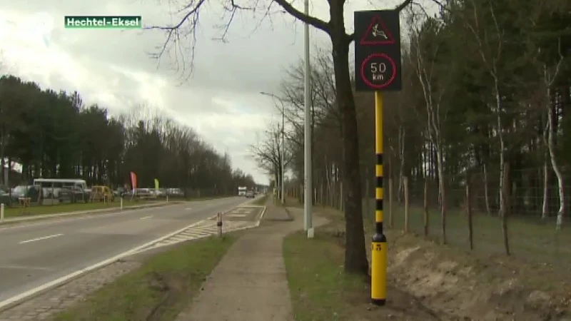 Wilddetectiesysteem faalt: ever aangereden in Hechtel-Eksel